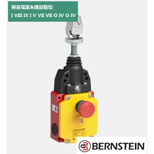 BERNSTEIN Rope switch 6012999094 SRM-A2Z/U1Z-QF-175