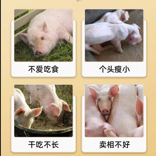 Ruixuan Zhenpin Silly Eater Feed Additive 2.5kg/barrel 5 Jin Jin equals 0.5 kg, 5000 Jin Jin equals 0.5 kg of mixing material, Silly Eat Meng Sleep Long Fatty Zhuang 3 barrels (15 Jin Jin equals 0.5 kg, 15000 Jin Jin equals 0.5 kg of mixing material)