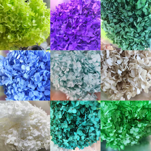 Hydrangea dried flower bouquet decorative flower material fruit green