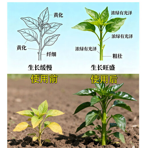 Quick-acting nitrogen fertilizer, medium granular 46% agricultural urea, general-purpose for flowers, green plants, vegetables, fruits, vegetables and fruit trees, medium granular urea 46% 50Jin Jin equal to 0.5kg sub-package