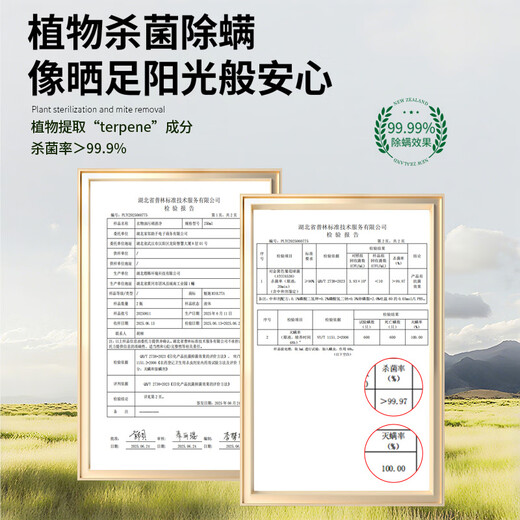 MIOLTTA Oil-stained Clothes Cleaner, Stubborn Stains Cleaner, White Clothes Powerful Oil and Contamination King Oil Stain Remover 250ml 1 Bottle