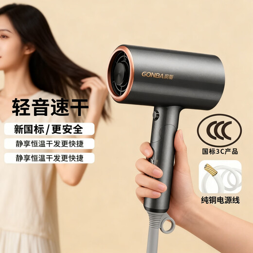 GUANGBA 2025 new technology National standard certified hair dryer household negative ion hair care silent quick-drying high wind low power hair dryer for dormitory students constant temperature does not harm hair quality Champagne powder New national standard safer 1600W Naked model 2M pure copper power cord