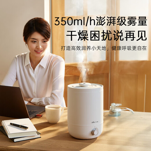 Bear Humidifier Home Bedroom Desktop Heavy Fog Office Air Conditioning Room Light Sound Maternal and Infant Air Purification Antibacterial Humidifier Small JSQ-C45U1