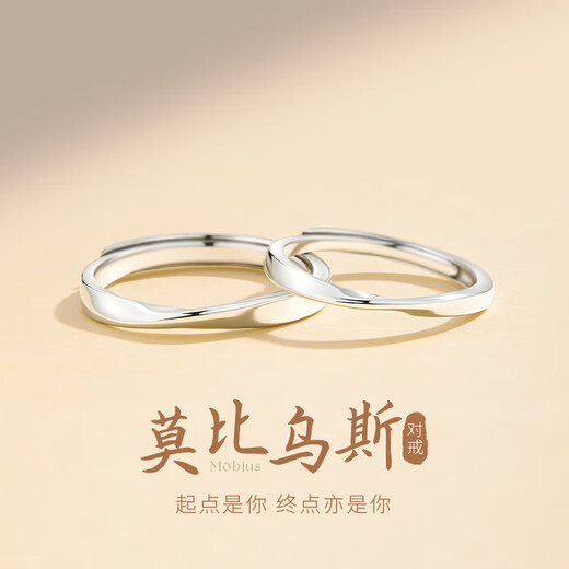 GLTEN Mobius Couple Rings Pure Silver Rings Girls Birthday Christmas Gifts Wedding Anniversary Gifts for Girlfriends and Wife Mobius Couple Rings-999 Pure Silver