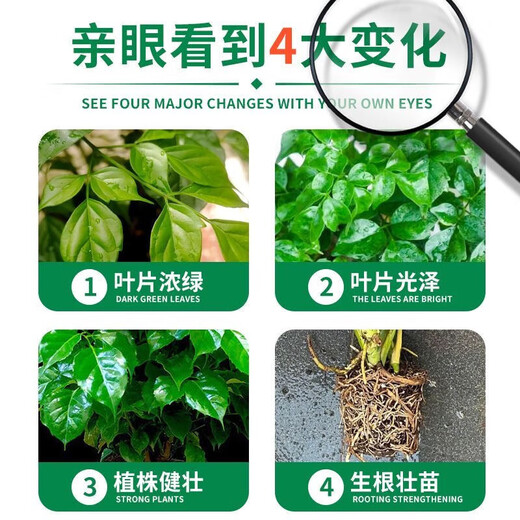 OUOETY leaf spot disease happy tree special fertilizer nutrient solution for flower cultivation, dry and fallen leaves hydroponic potted plant resurrection liquid happy tree nutrient solution 800ml*2 bottles