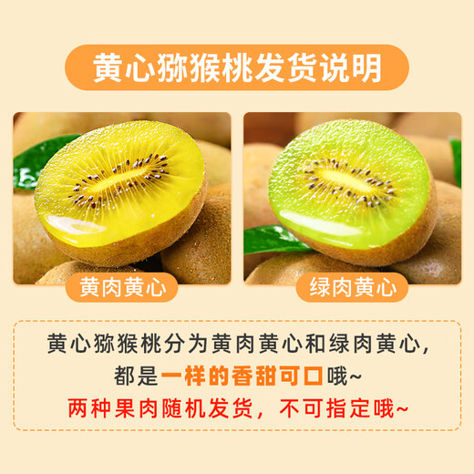 Jingmi Pujiang yellow-heart kiwi fruit 10 pieces, single fruit 110-130g, fruit Mid-Autumn Festival gift shipped directly from the origin
