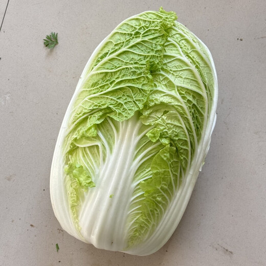 Jinguanqiujin yellow-heart Chinese cabbage seeds, high-yielding and bolting-resistant, South Korean spring and autumn agricultural field planting vegetable seeds, Jinbei Jinguanqiujin Chinese cabbage 50g