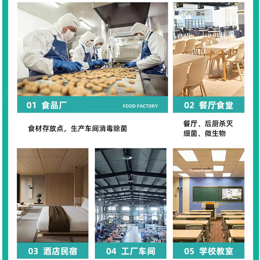 Aijenu wall-mounted ozone sterilizer food factory clean workshop canteen school deodorization formaldehyde sterilization generator 10g paint resistant to rust (remote control + appointment timer)