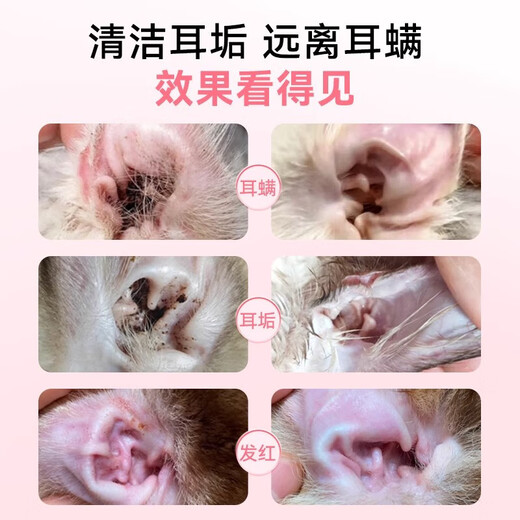 Ear cleaning solution for cats, ear mites, pet ear drops for dogs, cat ear cleaning solution, removing mites and suppressing fungi, ear canal cleaning solution, ear deep cleaning package, ear drops + eyes and ears