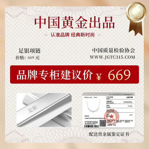 Zhen Shang Silver Necklace Women's Pendant 2025 New Birthday Gift Anniversary Niche Light Luxury High-end Sent to Girlfriend and Wife