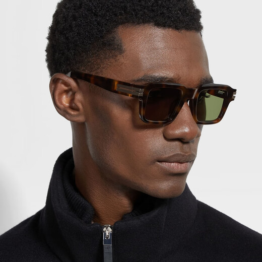 Zegna accessories winter new Havana brown acetate sunglasses sunglasses Havana brown ONE SIZE