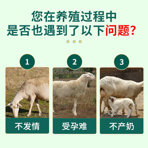 YINGMEIER's special feed for breeding ewes, mountain lamb premix, lamb skeleton, mutton sheep fattening and growth promotion, ewe premix 20KG*1 bag to improve reproduction