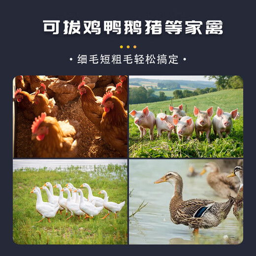 Bull dynamic hair plucking artifact high-end electric household commercial chicken feather, duck feather and goose feather removal poultry hair removal machine fully automatic model plug-in model removes 100%