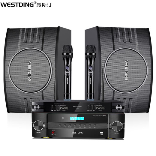 Westin Home KTV Audio Set Singing Complete Equipment Karaoke Cinema Conference Stage Commercial Supermarket Home Living Room Newly Upgraded 108 Speaker Set 108 Ultimate Edition +393+K82