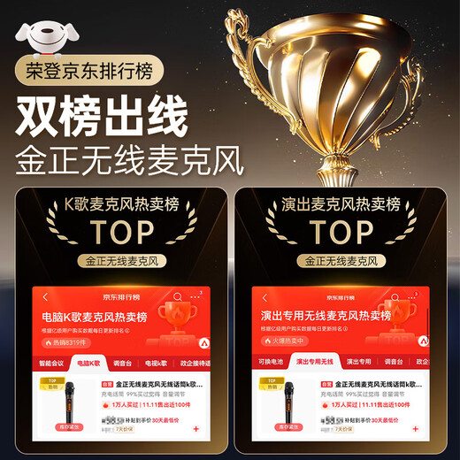 Jinzheng wireless charging microphone one-to-two microphone home KTV professional karaoke singing microphone teaching stage conference hosting performance special handheld microphone OK-13S