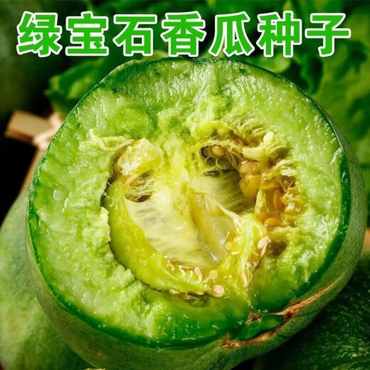 Emerald melon seeds, thin-skinned, super-sweet cantaloupe seeds, spring green-skinned, crispy melons for all seasons, early-maturing, high-yielding cantaloupe seeds, emerald melon seeds/pack, about 100 pieces, 3 packs