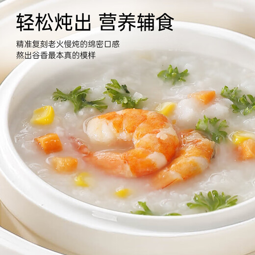 Electric stew pot, steamer, electric cooking pot, stew pot, casserole pot, stew and steaming, all-in-one food supplement pot, stew soup cup, electric stew pot, electric casserole pot, stew pot, water-proof porridge, multifunctional, can be reserved with white porcelain stew pot + steamed egg rack (ceramic white) 0.45L