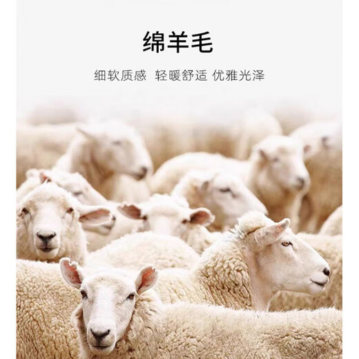 国际米澜鄂尔多斯产100%纯羊毛衫男秋冬新款套头圆领针织衫加厚保暖毛衣男 驼色【高品质/绵羊毛】 XL 推荐【130-155斤】