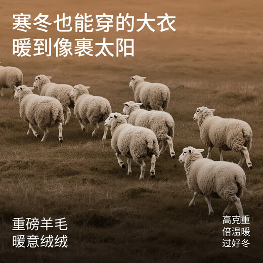 NVG YOUNG Italian dinghy autumn and winter woolen jacket men's Barn style thick coat casual lapel top