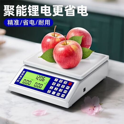ZHIZUN Genuine Supreme Pricing Kitchen Scale Electronic Scale Household High-Precision 0.1g Kitchen Red Scale Weighing Count Price Black Shell/12Jin Jin Equal to 0.5kg/0.1g/Precision Model