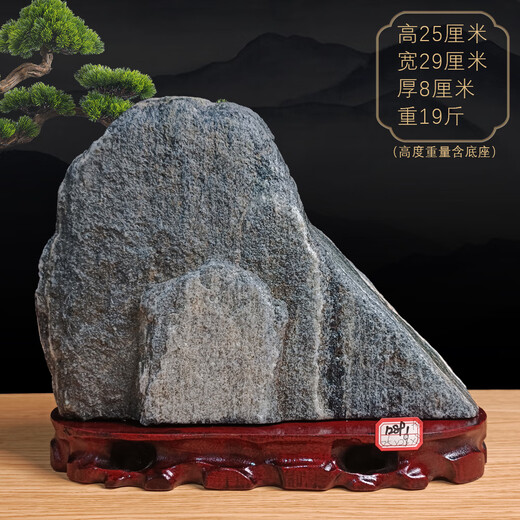 
Three-aqua Tiger fidelity Taishan stone natural raw stone Taishan stone dare to be the indoor living room corner office Yang stone backing 15921 backing