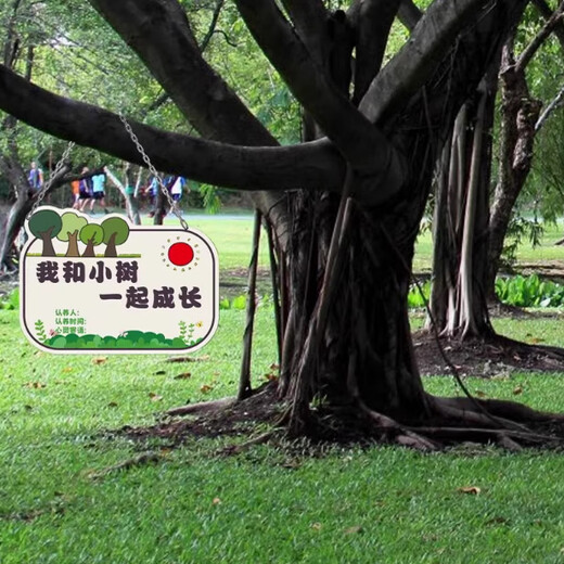 Arbor Day listing, tree planting sign, tree adoption sign, kindergarten sapling adoption sign, tree signage DIY customization, 10 tree signs, PVC board with hanging chain, 16x10cm