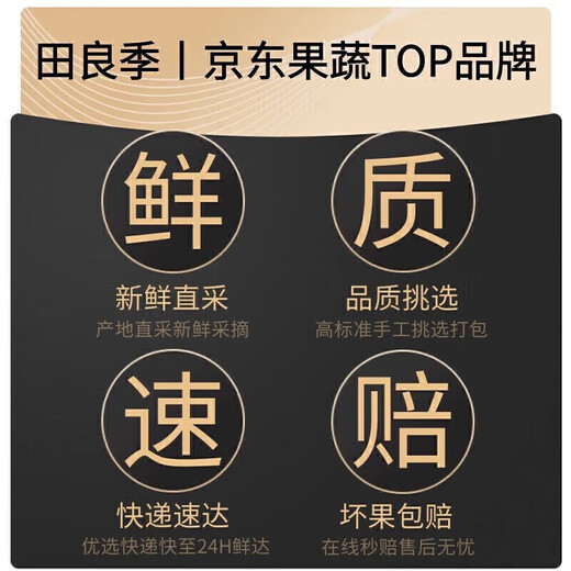 Tian Liang Ji Sichuan Chun Jian Rake Tangerine Gâteau à l'orange fraîche Fruits laids Agrumes séchés Saison fraîche Saison Shiranui Sélection Fruit 丨 Fruit unique super sucré 80-85 mm 5Jin Jin est égal à 0,5 kg Coffret cadeau pour les premiers utilisateurs Poids net 4,5 Jin Jin est égal à 0,5 kg