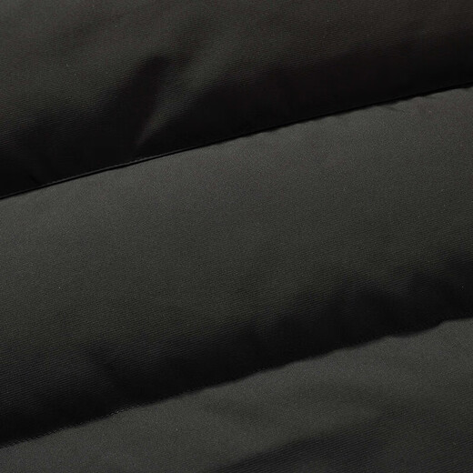 Flying in the Snow Goose Down Series Down Jacket Men's Short Removable Hood 2025 New Fashion Casual Coldproof Down Jacket