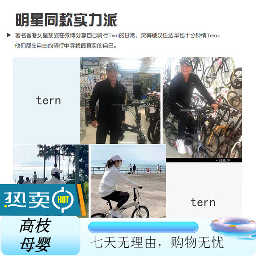 TERN Tern Verge D9 Folding Bike Adult Folding Bike Variable Speed Bike Folding Bike Silver Foil Color Upgraded Three Knife Classic Black-Concas Carbon