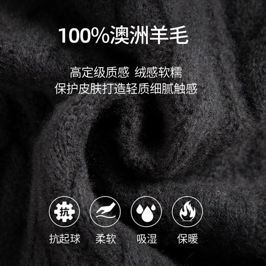杉杉【100%羊毛】新年羊毛衫男秋冬重磅加厚圆领贴身舒适亲肤麻花毛衣