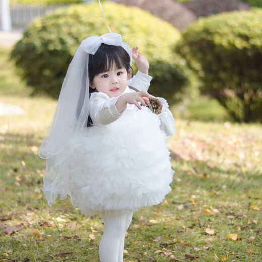 White girl's first birthday wedding dress, flower girl wedding dress, female princess dress, short-sleeved dress, tutu skirt, white short-sleeved dress, veil 80 80cm