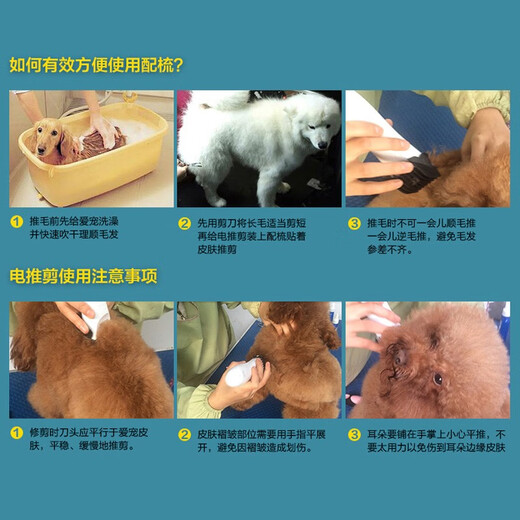 Jane Slaiwang Brothers Pet Electric Clipper Dog Shaver Teddy Golden Retriever Cat Large and Small Dog Electric Clipper Partial PC-360 Battery Model Small Cutter Head