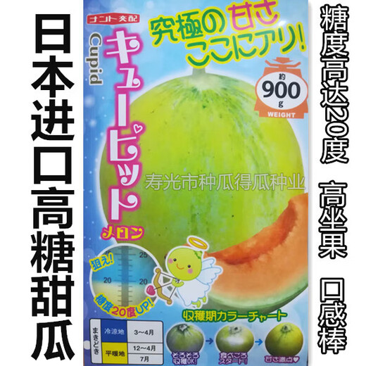 Japanese imported reticulated melon seeds, sweet watermelon, horn honey seeds, fruits, spring vegetable seeds, crispy honey reticulated melon seeds, 100 original pieces