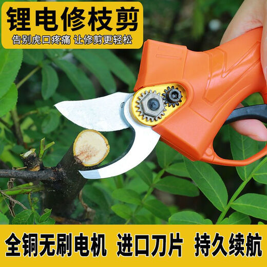 Aowei rechargeable apple tree shears lithium battery cordless electric pruning shears gardening pruning garden thick branches pruning branches 21V 3cm two batteries one charge