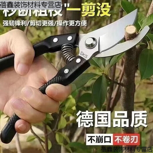 Qinran German craft steel branch shears, tree scissors, fruit tree shears, pruning scissors for household flowers, trees and grapes to prune branches Germany Main picture original German (thick branch shears) super fast + strength