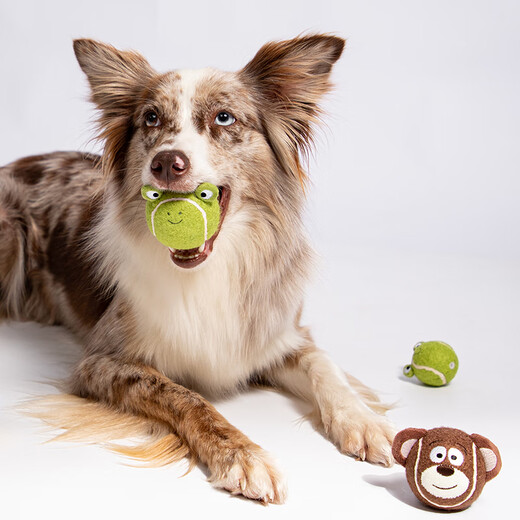GiGwi dog toy, chewing and molar-resistant toy to relieve boredom, puppy dog pet, chewing and molar-resistant toy, animal sounding tennis ball
