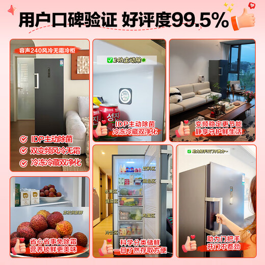 Ronshen 240L vertical home freezer IDP active sterilization rapid odor purification dual frequency conversion air-cooled frost-free computer precise control energy-saving smart vertical cabinet BD-240WPRSY national subsidy