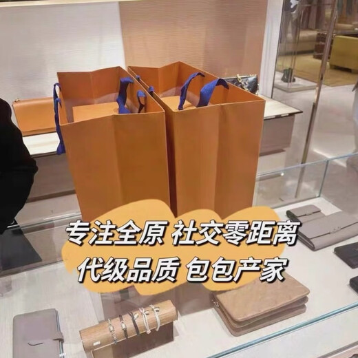 Presbyopia carryall small tote bag ivy horn baguette postman nano pillow all in bb bucket bag