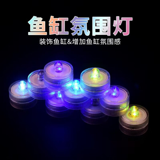 Trendy lifestyle appliances colorful lantern fish tank, fish tank + 1 lantern (comes with colorful stones and aquatic plants)