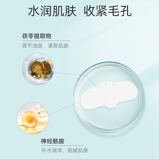 Double Acid Blackhead Remover Nasal Mask Acne Peel-off Blackhead Export Liquid T Zone Care Nasal Mask Set Shrink Pores 2 Boxes