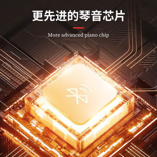 EVANLEY German hand-rolled piano portable 88-key Bluetooth professional version thickened arranger keyboard adult pocket electronic piano 88-key black standard version