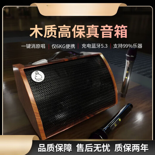 Yamiser 120W high volume charging speaker acoustic guitar audio instrument outdoor Bluetooth playing and singing sound card internal recording upgraded version 120W + 2 wireless microphones + accessories + stand