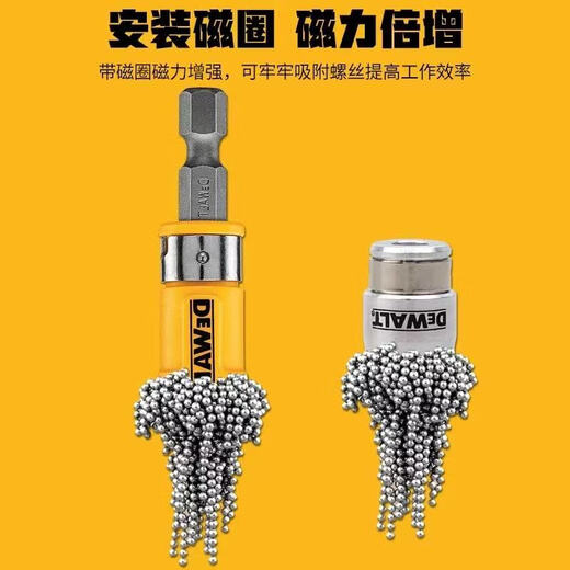 DEWALT 30mm magnetic ring with two cross bits