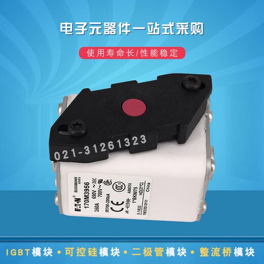 Eaton fast blow fuse 170M34623468 selection 170M3469