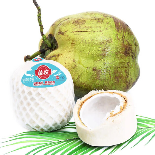 Goodnon Thailand imported green coconut 6 pieces large fruit single fruit 900g + free coconut opener fresh fruit straight from the source