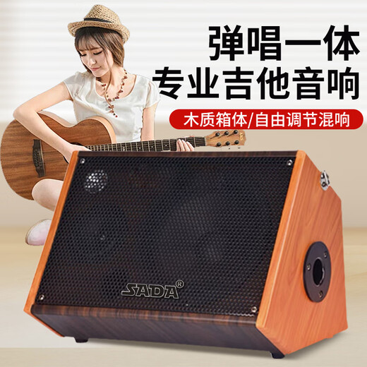 Saida guitar speaker Bluetooth musical instrument audio professional playing and singing outdoor Bluetooth portable street microphone karaoke performance live broadcast 10-inch wood color 100w power + professional microphone + speaker stand + microphone stand