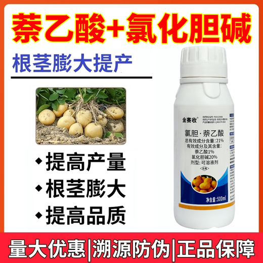 21% Choline Chloride Naphthalene Acetic Acid Expanding Potato Medicinal Ginger Underground Rhizome Tuber Production Enlarging Agent 10kg 20 bottles 500g exactly one box
