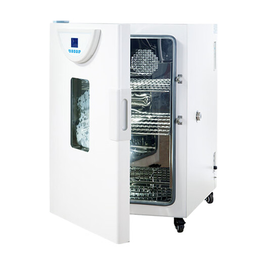 Yiheng incubateur à température constante de précision BPH-9042 recherche scientifique industrielle four à circulation à température constante incubateur microbien BPH-9272