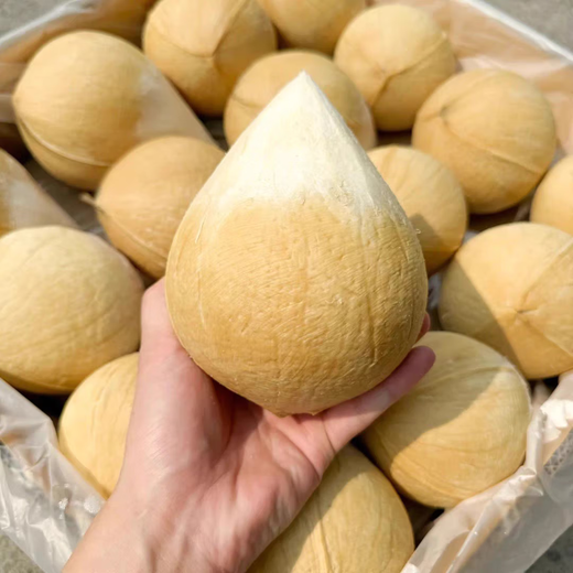 Imported from Thailand, milky coconut king Dannen Saduo perfumed coconut chicken soup old coconut fresh fruit JD.com Thai coconut king recommended 4 packs large fruit 400-500g