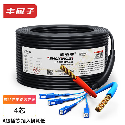 Fengyingzi Outdoor armored optical fiber with power integrated cable Optoelectronic composite cable finished cable 4-core single-mode fiber jumper SC50 meters FYZ-GYXTW-4B1-2*1.0